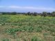 Thumbnail Land for sale in Gialia, Cyprus