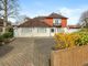 Thumbnail Detached house for sale in Pinewoods, Bexhill-On-Sea