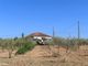 Thumbnail Property for sale in 6060 Idanha-A-Nova, Portugal