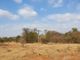 Thumbnail Farm for sale in 1 Selati Ranch, 1 Harmony, Harmony Block, Hoedspruit, Limpopo Province, South Africa