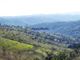 Thumbnail Land for sale in 170Ha With Cork And House In Serra Do Caldeirão, Portugal