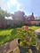 Thumbnail Semi-detached house for sale in Bradfield Road, Crewe