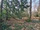 Thumbnail Farm for sale in Grenville Road, Shackleford, Godalming