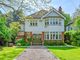 Thumbnail Detached house for sale in Moulsham Street, Chelmsford, Essex