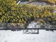 Thumbnail Bungalow for sale in Pluscarden, Elgin, Moray