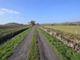 Thumbnail Property for sale in Barn Off Draycott Moor Drove, Draycott, Somerset