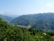 Thumbnail Country house for sale in Strada Vicinale Arcagna, Dolceacqua, Imperia, Liguria, Italy