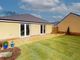Thumbnail Detached bungalow for sale in Orchard Brooks, Williton, Taunton