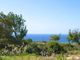 Thumbnail Property for sale in Coral Bay, Paphos, Cyprus