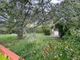 Thumbnail Villa for sale in Cassis, Provence Coast (Cassis To Cavalaire), Provence - Var
