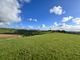 Thumbnail Equestrian property for sale in Bickington, Newton Abbot