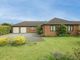 Thumbnail Detached bungalow for sale in Nursery Close, Isleham, Ely