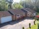 Thumbnail Bungalow for sale in Pines Road, Liphook