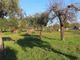 Thumbnail Property for sale in Castelo Branco, Portugal