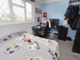 Thumbnail Detached house for sale in Samsons Road, Brightlingsea