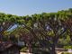 Thumbnail Villa for sale in Vale Do Lobo, Vale De Lobo, Loulé, Central Algarve, Portugal