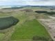 Thumbnail Land for sale in Christmas Tree Land, Huntly, Aberdeenshire AB544Xt