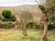 Thumbnail Land for sale in Land Adjacent To Ashgrove, Symonds Yat, Ross-On-Wye