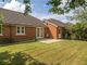 Thumbnail Detached bungalow for sale in Dibble Drive, North Baddesley, Southampton, Hampshire