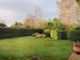 Thumbnail Detached bungalow for sale in Elm Gardens, Welwyn Garden City, Hertfordshire