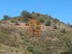 Thumbnail Land for sale in Choça Queimada, Odeleite, Castro Marim