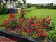 Thumbnail Bungalow for sale in Caherpeak, Kilcolgan, Vny6