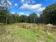 Thumbnail Land for sale in Mayfield Flat, Cross In Hand, East Sussex