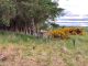 Thumbnail Land for sale in Trentham Farm Steading, Skelbo, Dornoch, Sutherland