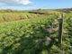 Thumbnail Land for sale in Ailwood, Corfe Castle, Wareham