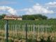 Thumbnail Country house for sale in Via Delle Querce, Castiglione Del Lago, Umbria