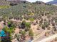 Thumbnail Land for sale in Casarabonela, Malaga, Spain