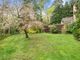 Thumbnail Detached house for sale in The Conifers, Crowthorne, Berkshire