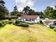 Thumbnail Detached house for sale in Fen Walk, Woodbridge, Suffolk