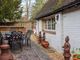 Thumbnail Detached house for sale in West Meon, Petersfield