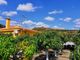 Thumbnail Country house for sale in Vélez-Málaga, Axarquia, Andalusia, Spain