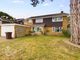 Thumbnail Detached house for sale in Hall Hills, Roydon, Diss