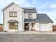 Thumbnail Detached house for sale in Cae Pensarn, Llanllwni, Pencader