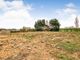 Thumbnail Land for sale in Building Plot - Great Raveley, Huntingdon