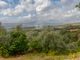 Thumbnail Villa for sale in Monteleone D'orvieto, Terni, Umbria