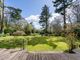Thumbnail Detached house for sale in Picket Hill, Ringwood, Hampshire