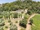 Thumbnail Country house for sale in Via Centrale, Scansano, Toscana