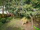 Thumbnail Semi-detached house for sale in High Trees, Dore