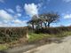 Thumbnail Land for sale in Bounds Cross, Pyworthy, Holsworthy