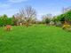 Thumbnail Detached house for sale in Chequers Lane, Bressingham, Diss