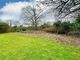 Thumbnail Detached bungalow for sale in The Holmes, East Ruston, Norwich