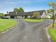 Thumbnail Detached house for sale in Belfast Road, Ballynahinch, Ballynahinch