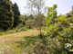 Thumbnail Detached house for sale in Dodington, Nr. Nether Stowey, Somerset - 3 Acres