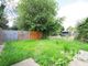 Thumbnail Semi-detached house to rent in Easterford Road, Kelvedon, Colchester, Essex