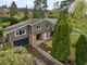 Thumbnail Detached house for sale in Bourne Firs, Lower Bourne, Farnham, Surrey