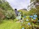 Thumbnail Cottage for sale in Lochranza, Isle Of Arran